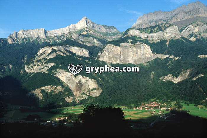 Pli d'Arpennaz (Haute Savoie, France) - gryphea.org